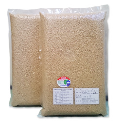 令和7年度産　あきたこまち玄米10kg(真空パック5kg×2袋)