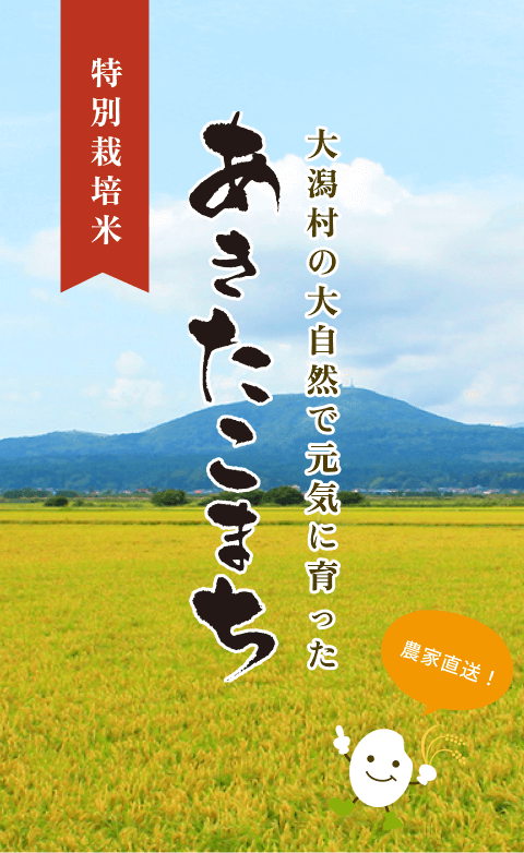 あきたこまちの通販|農家直送スズキファーム / TOP あきたこまちの通販|農家直送スズキファーム / TOP